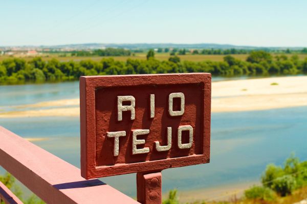 Ribatejo Wine